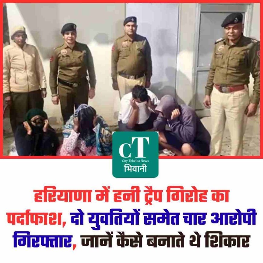 भिवानी में हनी ट्रैप गिरोह का पर्दाफाश, दो युवतियों समेत चार आरोपी गिरफ्तार, जानें कैसे बनाते थे शिकार