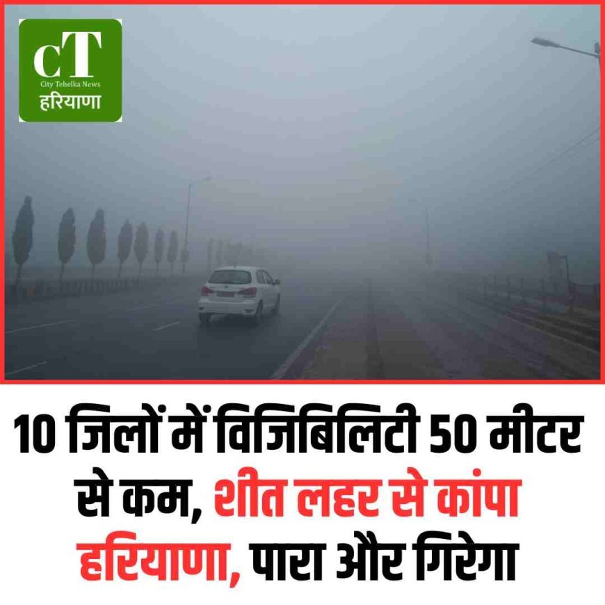 हरियाणा में कोहरा और कोल्ड-डे का अलर्ट जारी, 10 जिलों में विजिबिलिटी 50 मीटर से कम