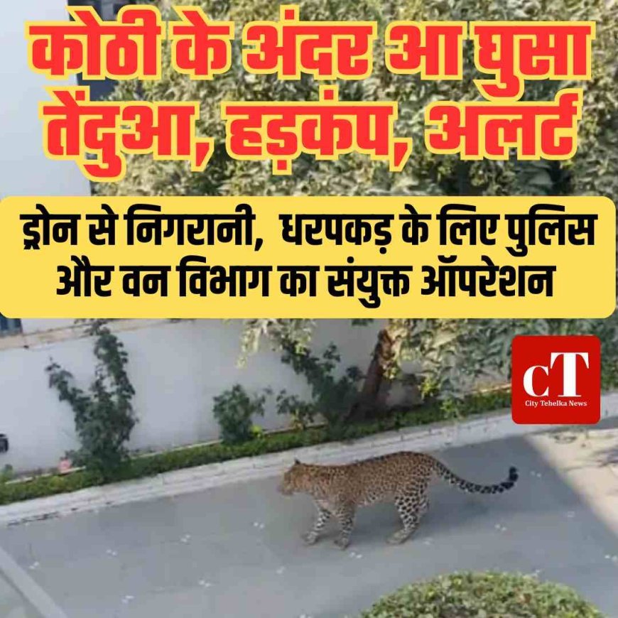 कोठी के अंदर घुसा तेंदुआ ,  मचा हड़कंप, वन विभाग ने जारी किया अलर्ट,  ड्रोन से निगरानी,  धरपकड़ के लिए पुलिस और वन विभाग का संयुक्त ऑपरेशन