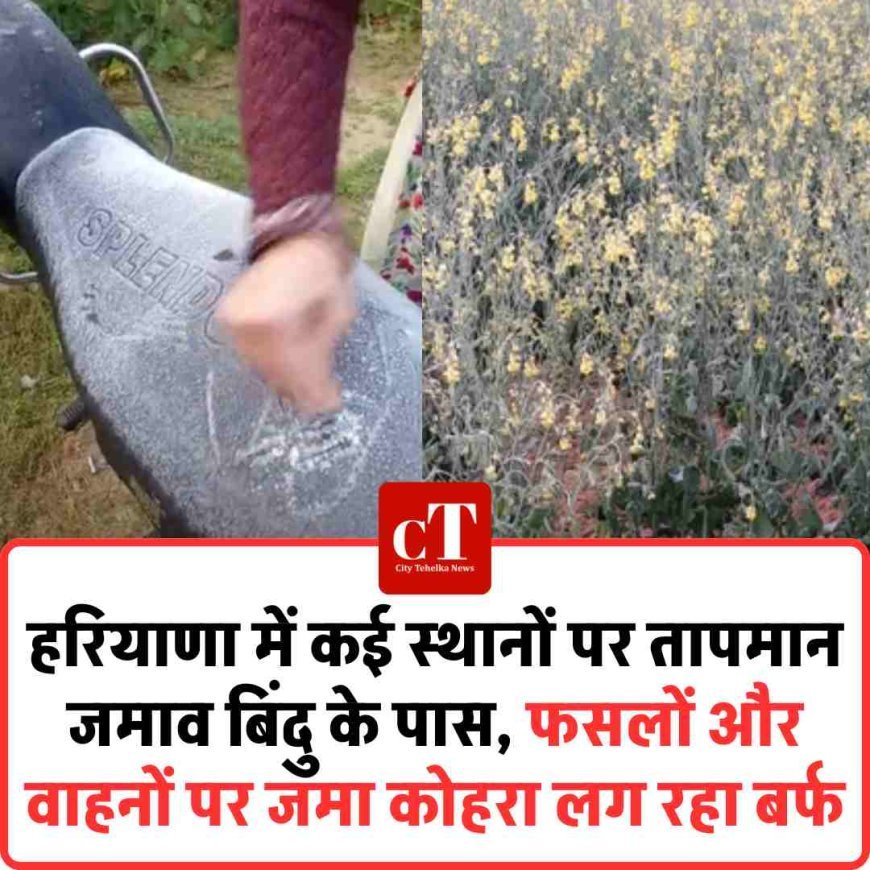 Video: हरियाणा में कई स्‍थानों पर तापमान जमाव बिंदु के पास, फसलों और वाहनों पर जमा कोहरा लग रहा बर्फ