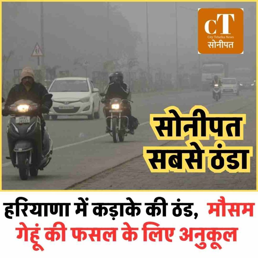 हरियाणा में कड़ाके की ठंड, सोनीपत सबसे ठंडा