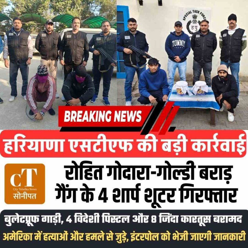 हरियाणा एसटीएफ की बड़ी कार्रवाई: रोहित गोदारा-गोल्डी बराड़ गैंग के 4 शार्प शूटर गिरफ्तार