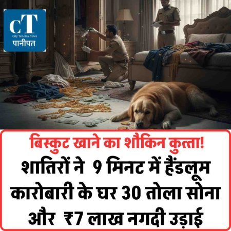 बिस्‍कुट  खाने का शौकिन कुत्‍ता! शातिरों ने  9 मिनट में हैंडलूम कारोबारी के घर 30 तोला सोना और  ₹7 लाख नगदी उड़ाई