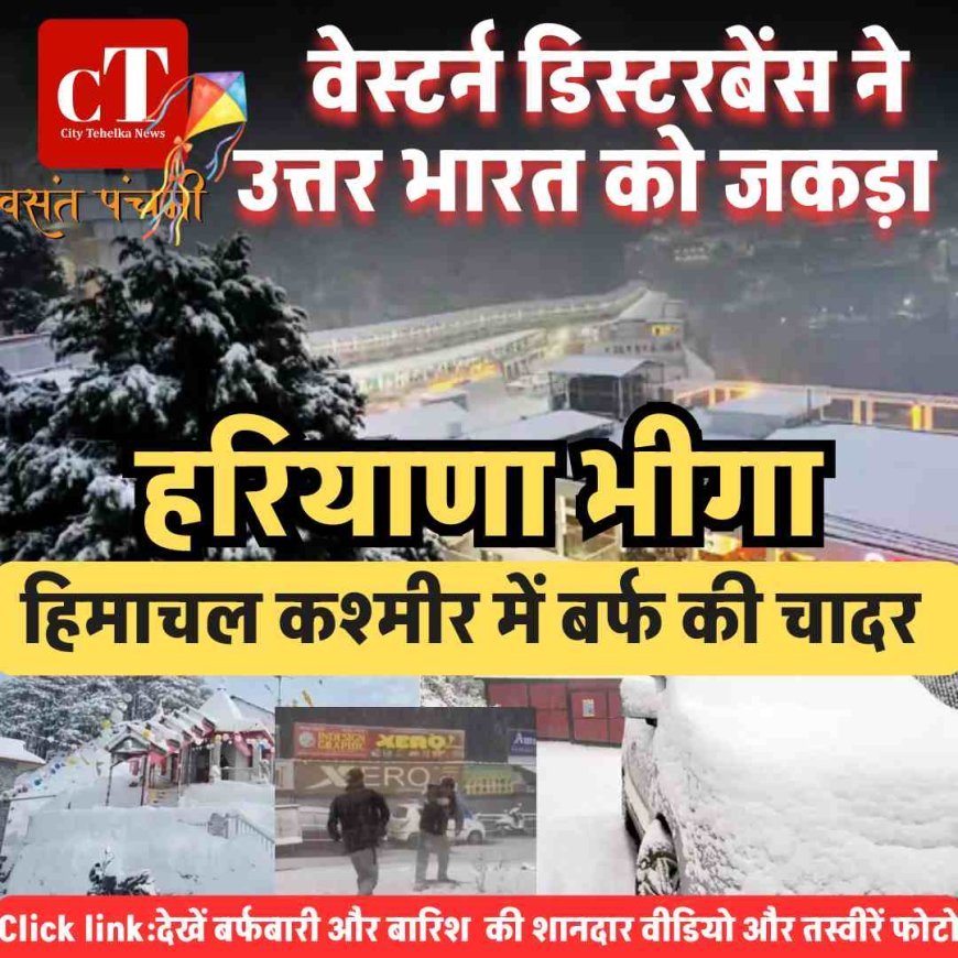 हरियाणा भीगा, हिमाचल-कश्मीर में बर्फ की चादर, वेस्टर्न डिस्टरबेंस ने उत्तर भारत को जकड़ा