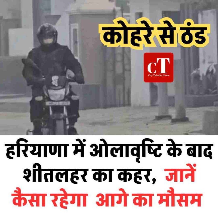 हरियाणा में ओलावृष्टि के बाद शीतलहर का कहर, कोहरे से ठंड, जानें कैसा रहेगा मौसम