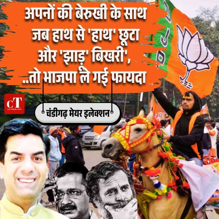 साइड स्टोरी: 'अपनों की बेरुखी के साथ जब हाथ से 'हाथ' छूटा और 'झाड़ू' बिखरी', भाजपा ले गई फायदा 