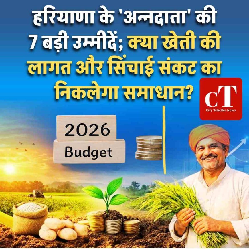 बजट 2026: हरियाणा के 'अन्नदाता' की 7 बड़ी उम्मीदें; क्या खेती की लागत और सिंचाई संकट का निकलेगा समाधान?