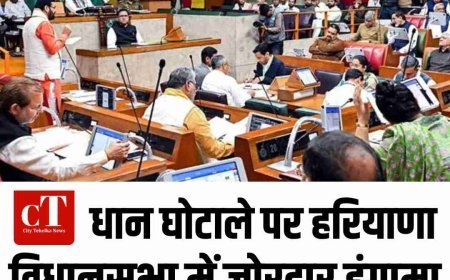 धान घोटाले पर हरियाणा विधानसभा में जोरदार हंगामा, CM सैनी-कांग्रेस आमने-सामने