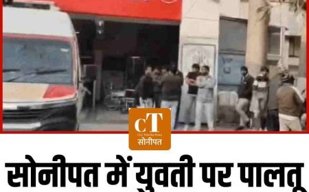 सोनीपत में युवती पर पालतू कुत्ता छोड़ा, कई जगह नोचा