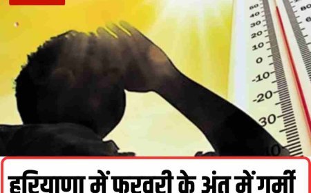 हरियाणा में फरवरी के अंत में गर्मी के तेवर, 9 शहरों में 30°C पार, पश्चिमी विक्षोभ से आज बूंदाबांदी के आसार, हिसार सबसे गर्म