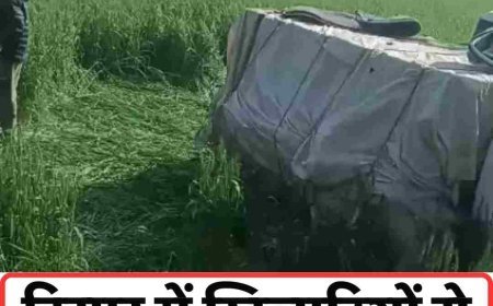 हरियाणा में खिलाड़ियों से भरी गाड़ी पलटी: टायर पंक्चर से हादसा, एक को फ्रैक्चर; 5 घायल रेफर