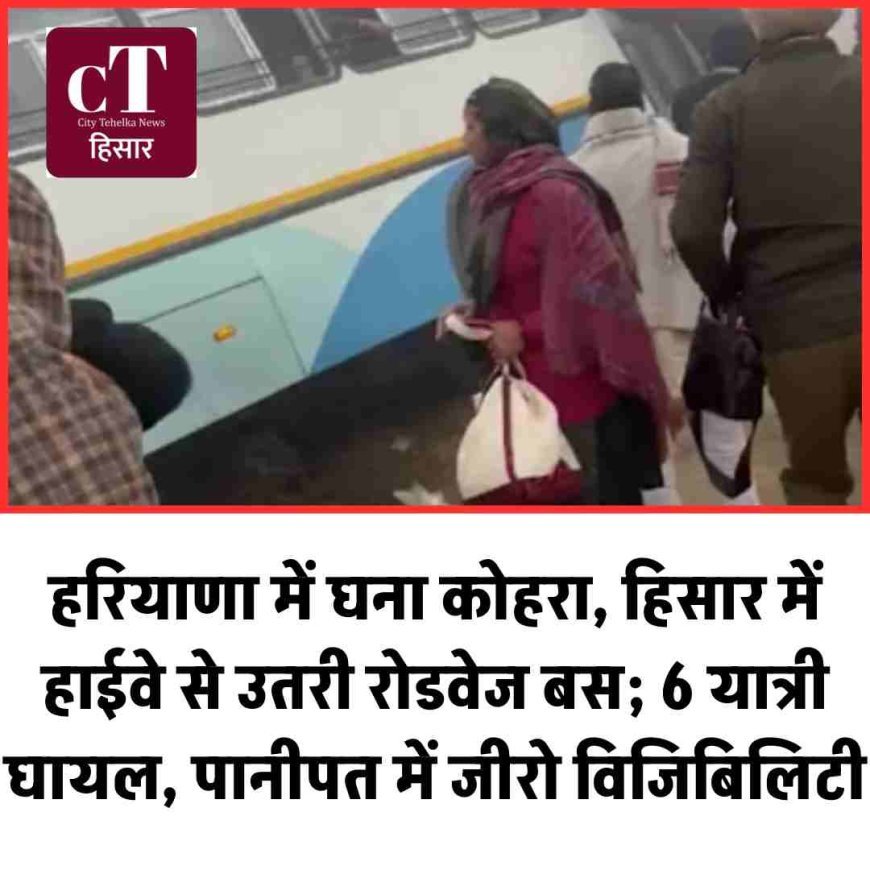 हरियाणा में घना कोहरा, हिसार में हाईवे से उतरी रोडवेज बस; 6 यात्री घायल, पानीपत में जीरो विजिबिलिटी