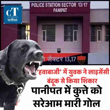 पानीपत में कुत्ते को सरेआम मारी गोली: ‘हवाबाजी’ में युवक ने लाइसेंसी बंदूक से किया शिकार, पहले भी कर चुका वारदात