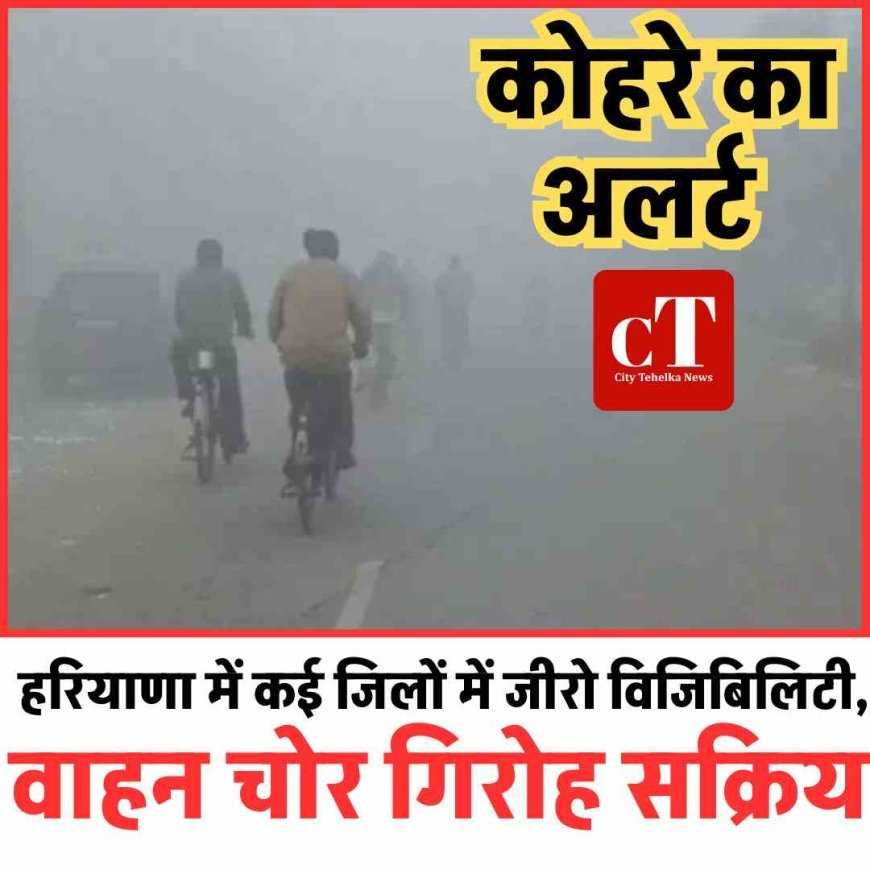 हरियाणा में कोहरे का अलर्ट: कई जिलों में जीरो विजिबिलिटी, वाहन चोर गिरोह सक्रिय