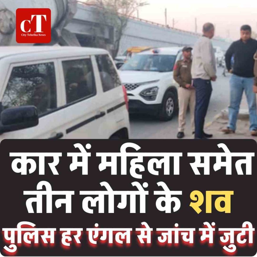पीरागढ़ी फ्लाईओवर के पास कार में महिला समेत तीन लोगों के शव बरामद, पुलिस हर एंगल से जांच में जुटी