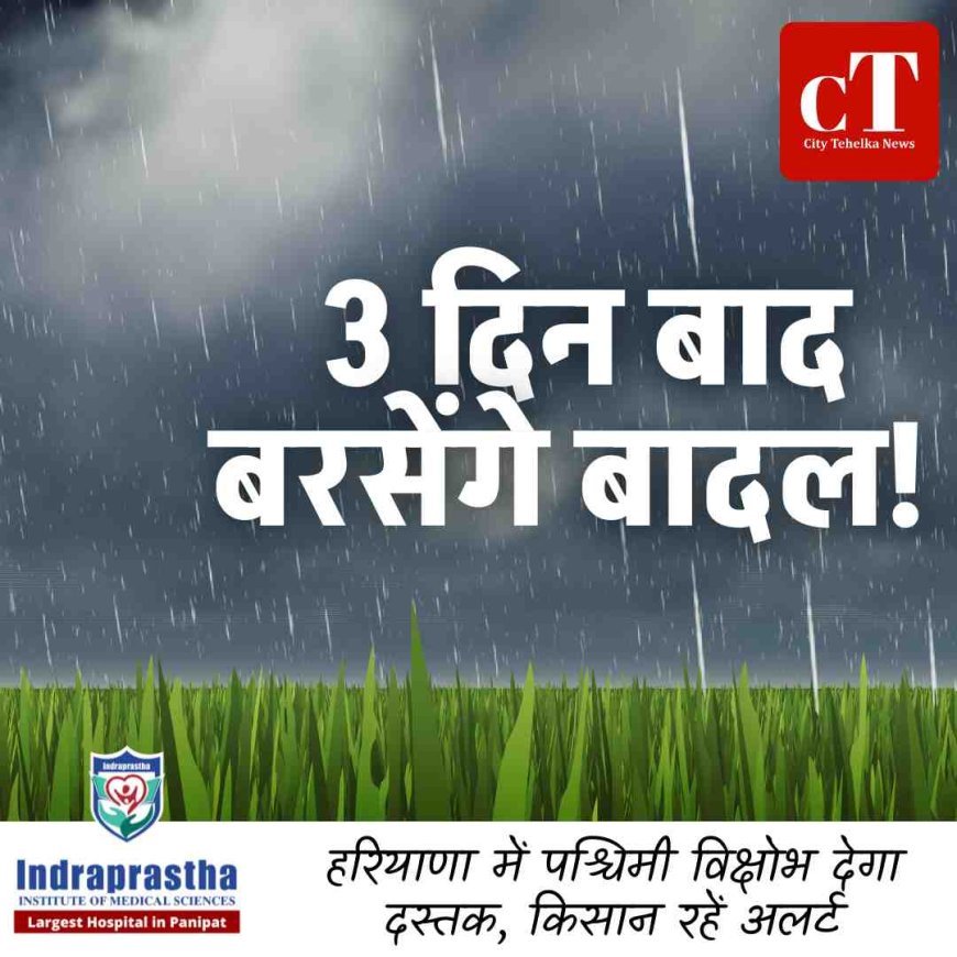 3 दिन बाद बरसेंगे  बादल!  हरियाणा में पश्चिमी विक्षोभ देगा दस्तक, किसान रहें अलर्ट