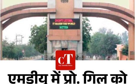 एमडीयू में प्रो. गिल को राहत, निलंबन आदेश रद्द