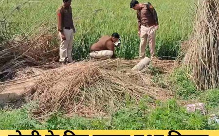 सोनीपत में लापता सफाई कर्मचारी का शव मिला, हाईवे किनारे संदिग्ध हालत में मिली लाश  होली वाले दिन घर से निकला था विजय, 4 दिन बाद खेतों में मिला शव