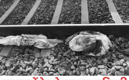 पलवल रेलवे ट्रैक पर मिला शव, कैसे हुई बुजुर्ग की मौत?  ट्रैक पार करते वक्त क्या हुआ कि कट गया शरीर?