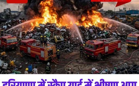 हरियाणा में स्क्रैप यार्ड में भीषण आग: छह दमकल गाड़ियां बुझाने में जुटीं