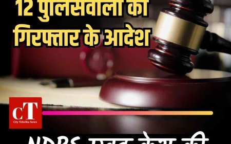 DSP-थानेदार समेत 12 पुलिसवालों को गिरफ्तार करने के आदेश, NDPS एक्ट केस की गवाही से जुड़ा है मामला