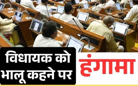 विधायक को भालू कहने पर हंगामा, दवा खरीद और स्वास्थ्य सेवाओं पर विधानसभा में तीखी बहस