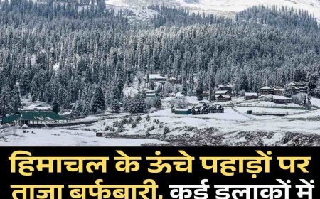 हिमाचल के ऊंचे पहाड़ों पर ताजा बर्फबारी, कई इलाकों में गिरे बर्फ के फाहे  मनाली में बारिश, 5 जिलों में आंधी-तूफान का यलो अलर्ट