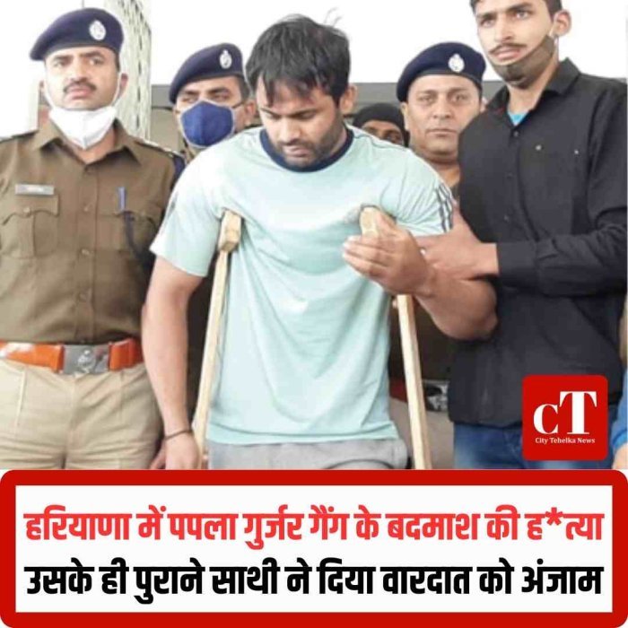 नारनौल में पपला गुर्जर गैंग के बदमाश की हत्या, पुराने साथी ने लाठी-डंडों से पीटकर मार डाला  गैंग की दुश्मनी में खून: नारनौल में युवक की पीट-पीटकर हत्या, आरोपी फरार