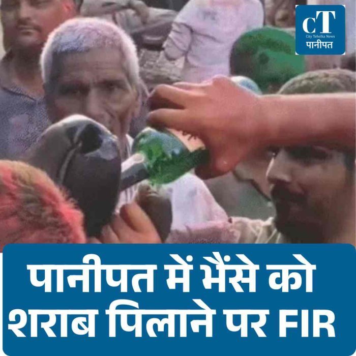 पानीपत में भैंसे को शराब पिलाने पर FIR