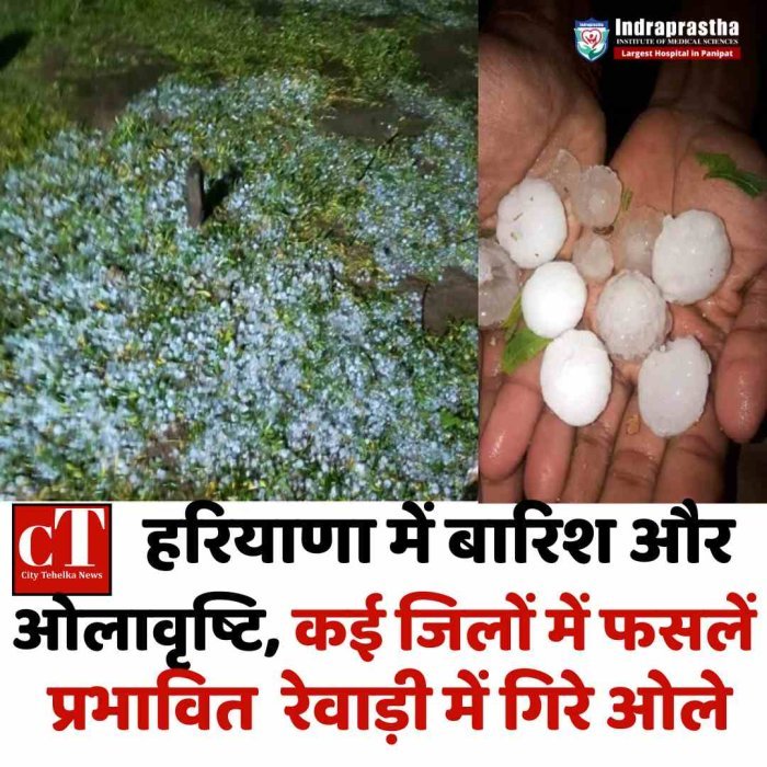 हरियाणा में बारिश और ओलावृष्टि, कई जिलों में फसलें प्रभावित  रेवाड़ी में गिरे ओले