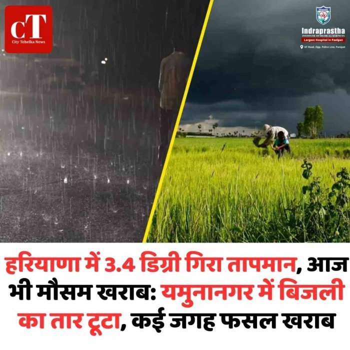 हरियाणा में बारिश-ओलावृष्टि से तापमान 3.4°C गिरा  आंधी और बारिश से कई जिलों में गेहूं की फसल गिरी