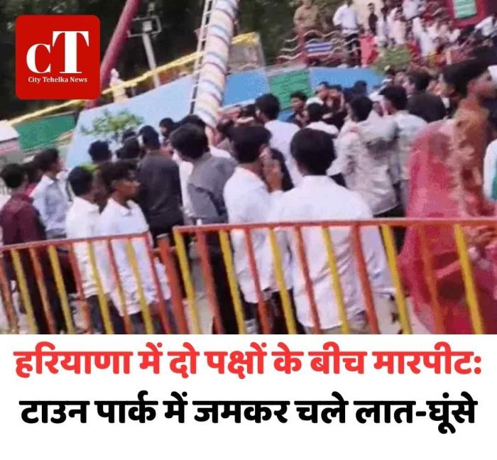 फरीदाबाद टाउन पार्क में दो पक्षों में मारपीट, VIDEO वायरल झूलों के पास कहासुनी बनी झगड़ा
