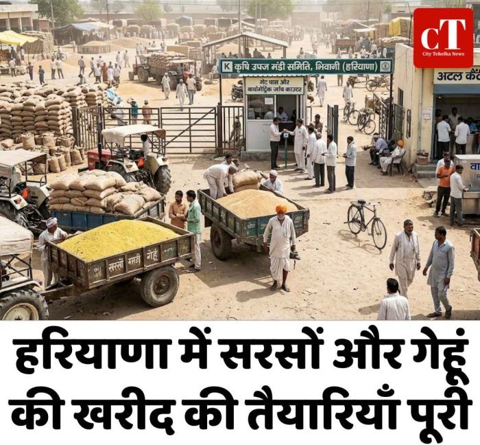 हरियाणा में कल से शुरू होगी सरसों की सरकारी खरीद