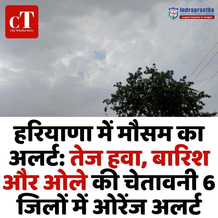 हरियाणा में मौसम का अलर्ट! तेज हवा, बारिश और ओले की चेतावनी 6 जिलों में ओरेंज अलर्ट