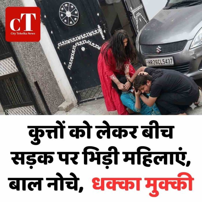 कुत्तों को लेकर बीच सड़क पर भिड़ी महिलाएं,  बाल नोचे,  धक्‍का मुक्‍की