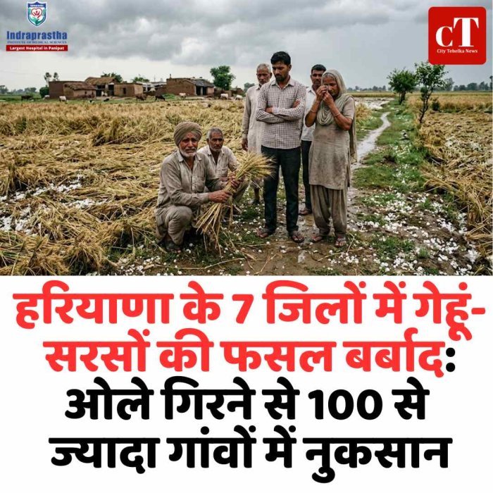 हरियाणा में ओलावृष्टि से फसलों की तबाही, 7 जिलों के किसान संकट में