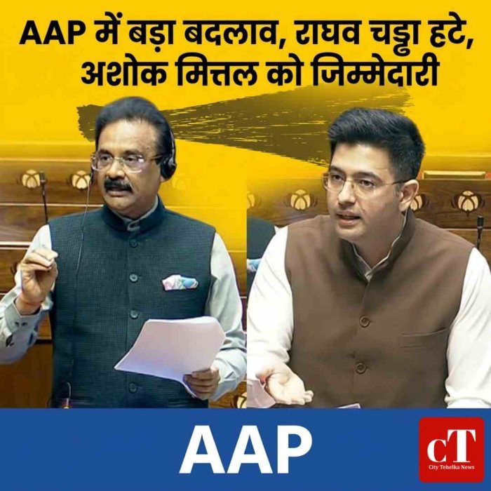 AAP में बड़ा झटका, राघव चड्ढा हटे राज्यसभा डिप्टी लीडर पद से, अशोक मित्तल को कमान