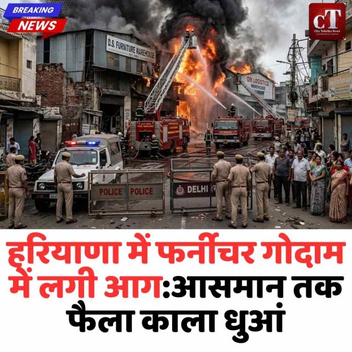 हरियाणा में 4 फर्नीचर गोदामों में भीषण आग, काला धुआं दूर तक फैला