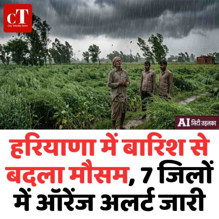 हरियाणा में बारिश से बदला मौसम, 7 जिलों में ऑरेंज अलर्ट जारी