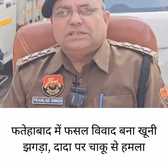 फतेहाबाद में फसल विवाद बना खूनी झगड़ा, दादा पर चाकू से हमला