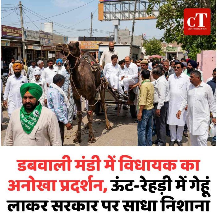 डबवाली मंडी में विधायक का अनोखा प्रदर्शन, ऊंट-रेहड़ी में गेहूं लाकर सरकार पर साधा निशाना