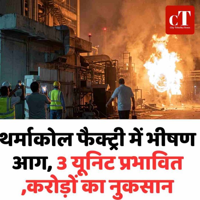 थर्माकोल फैक्ट्री में भीषण आग, 3 यूनिट प्रभावित ,करोड़ों का नुकसान
