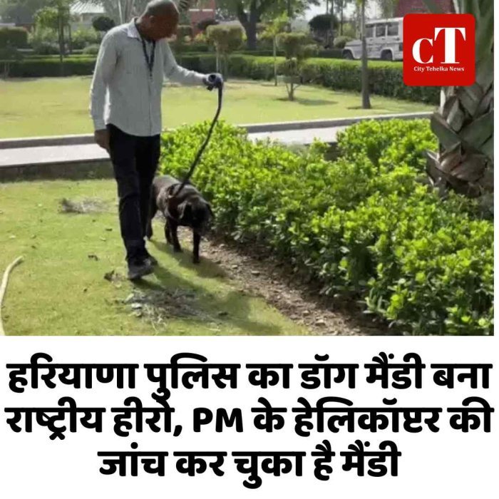 हरियाणा पुलिस का डॉग मैंडी बना राष्ट्रीय हीरो, PM के हेलिकॉप्टर की जांच कर चुका है मैंडी