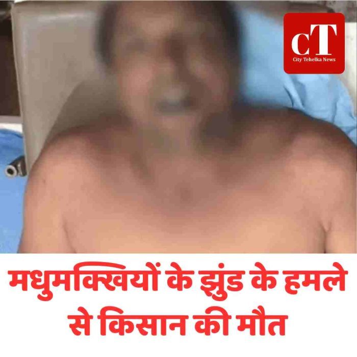 मधुमक्खियों के झुंड के हमले से किसान की मौत