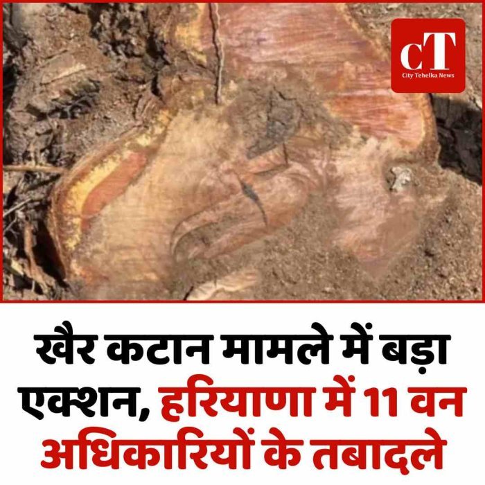 खैर कटान मामले में बड़ा एक्शन, हरियाणा में 11 वन अधिकारियों के तबादले