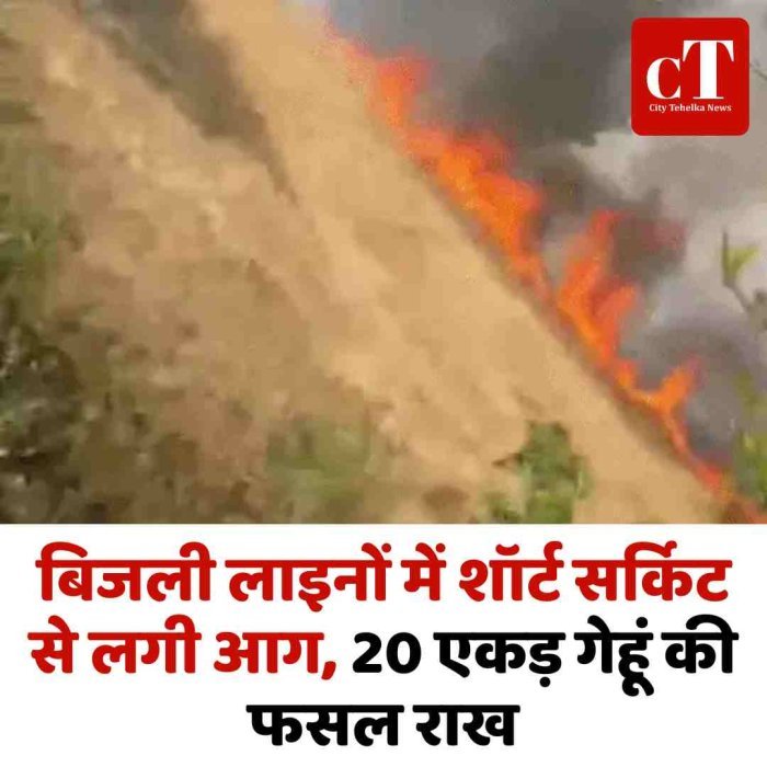 बिजली लाइनों में शॉर्ट सर्किट से लगी आग, 20 एकड़ गेहूं की फसल राख