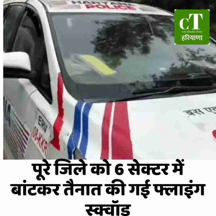 पूरे जिले को 6 सेक्टर में बांटकर तैनात की गई फ्लाइंग स्क्वॉड