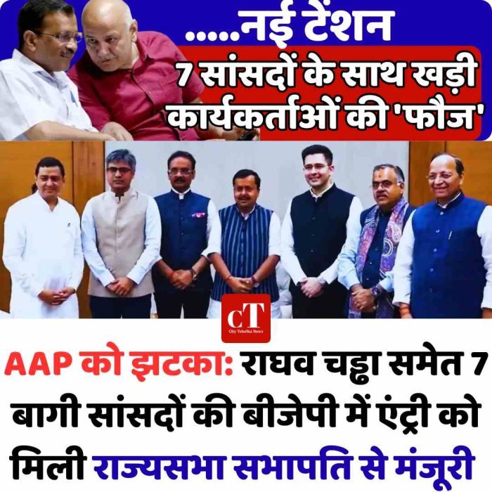 AAP को झटका, राघव चड्ढा समेत 7 बागी सांसदों की बीजेपी में एंट्री को मिली राज्यसभा सभापति से मंजूरी