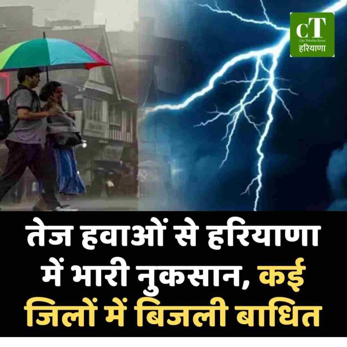 हरियाणा में तेज आंधी-बारिश से 561 बिजली पोल टूटे