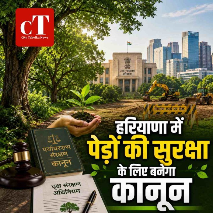हरियाणा में पेड़ों की सुरक्षा के लिए बनेगा नया कानून, हाईकोर्ट सख्त